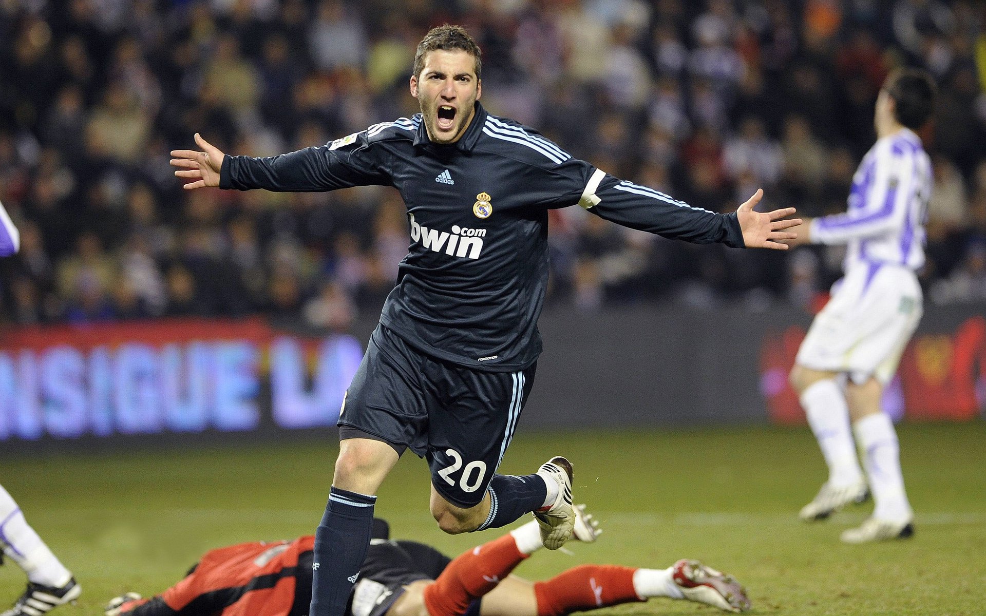 德国马术协会与国际马术联合会合作，举办国际马术交流活动，促进技术交流。